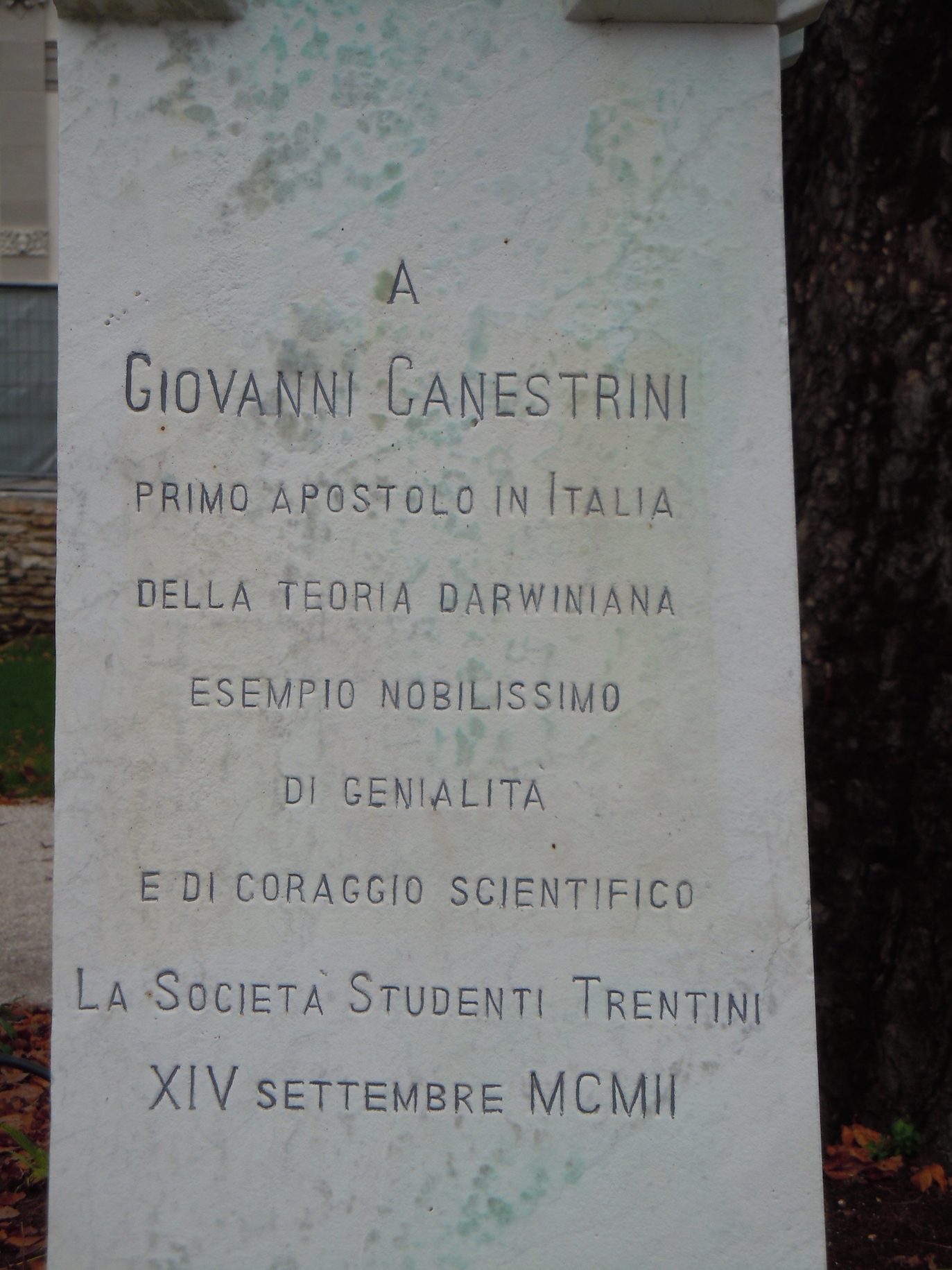 Giovanni Canestrini's bust 4.jpg